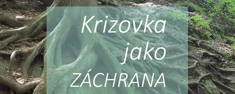 rescue remedy - krizová esence - záchranná esence Energie rostlin