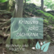 rescue remedy - krizová esence - záchranná esence Energie rostlin