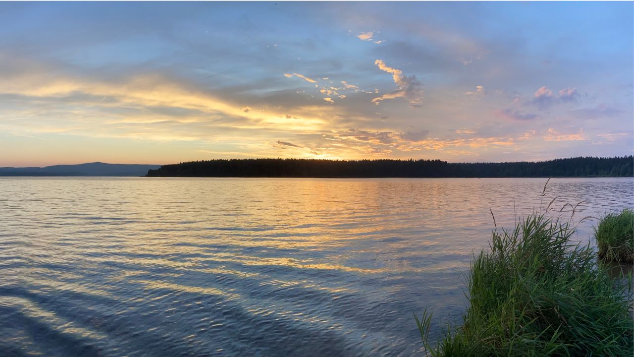 Bachbluetenberatung am Lipno – Lucie Energie rostlin