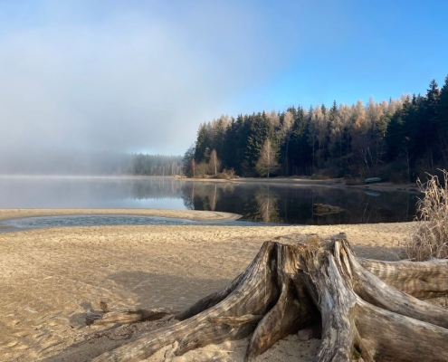 Bachblueten_Lipno_Energie rostlin