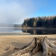 Bachblueten_Lipno_Energie rostlin