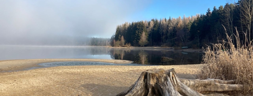 Bachblueten_Lipno_Energie rostlin
