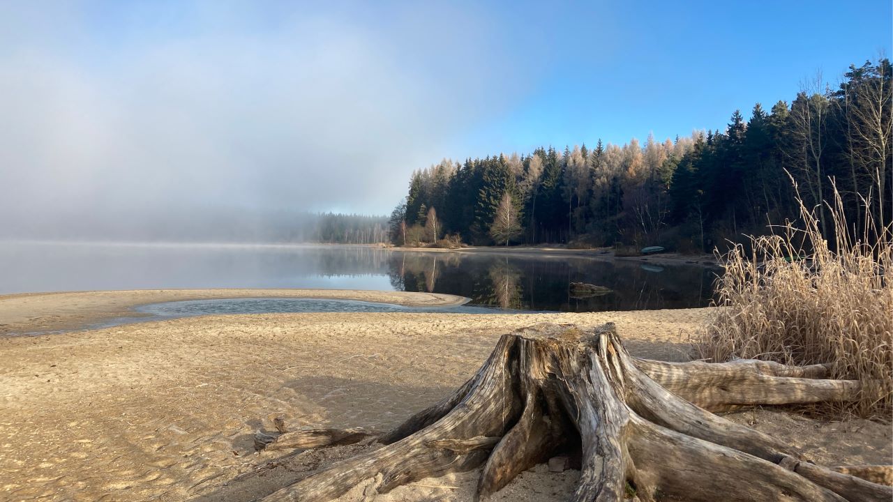Bachblueten_Lipno_Energie rostlin