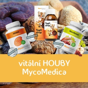 vitální houby - Reishi, Coriolus, Hericium, Shitake, Ohňovec, Cordyceps