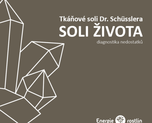 kniha o tkáňových solích Dr. Schuesslera - diagnostika nedostatků