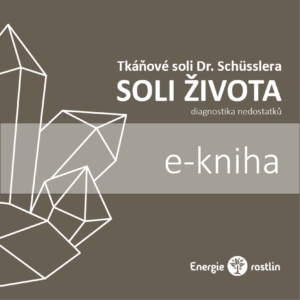 e-kniha o tkáňových solích Dr. Schuesslera - diagnostika nedostatků
